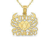 10K Yellow Gold 100% CANCER Charm Astrology Pendant Necklace with Chain